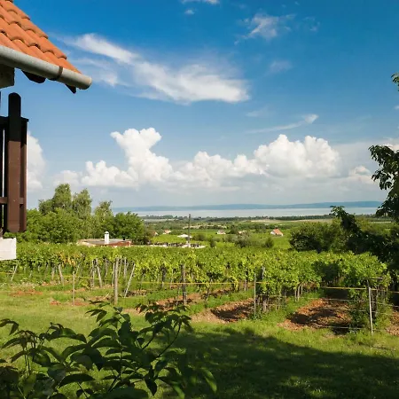 Apartmán Birtok Panorama